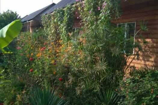 Гостевые домики «Алла Иосиф»