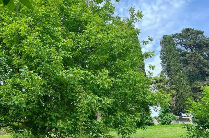 База отдыха «Land of Soul»