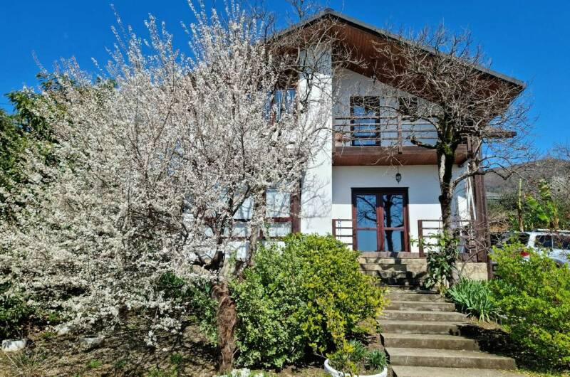 Гостевой дом «Цитрус»