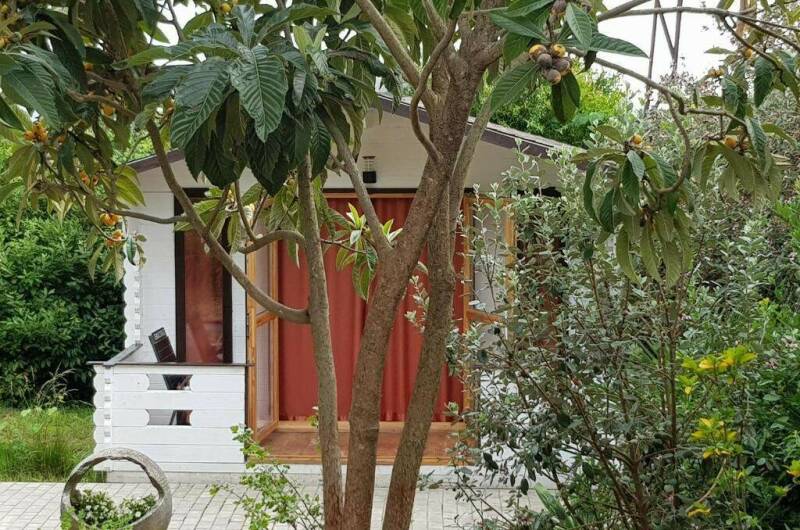 Гостевой дом «Цитрус»