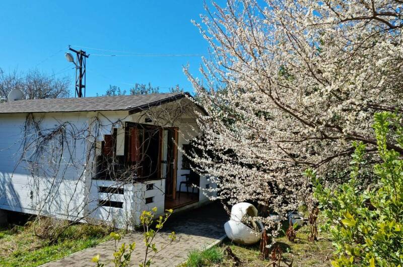 Гостевой дом «Цитрус»