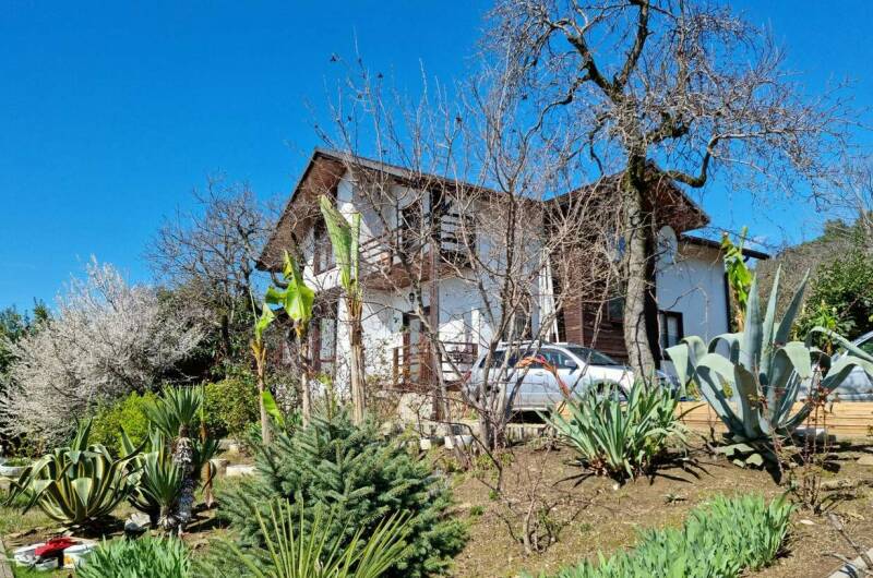 Гостевой дом «Цитрус»