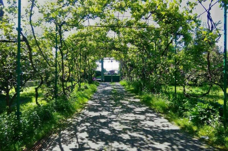 Гостевой дом «Одиссей»