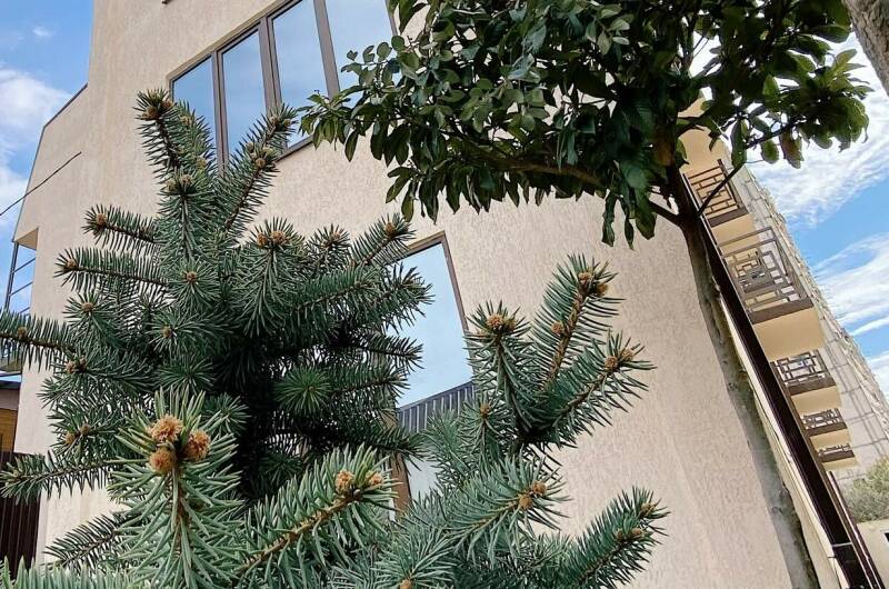 Отель «A-more»