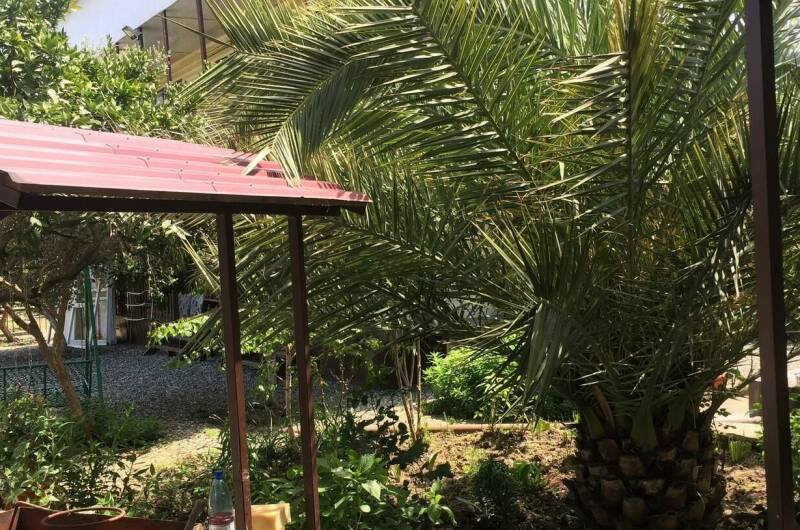 Гостевой дом «Ася»