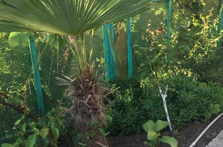 Гостевой дом «Ася»