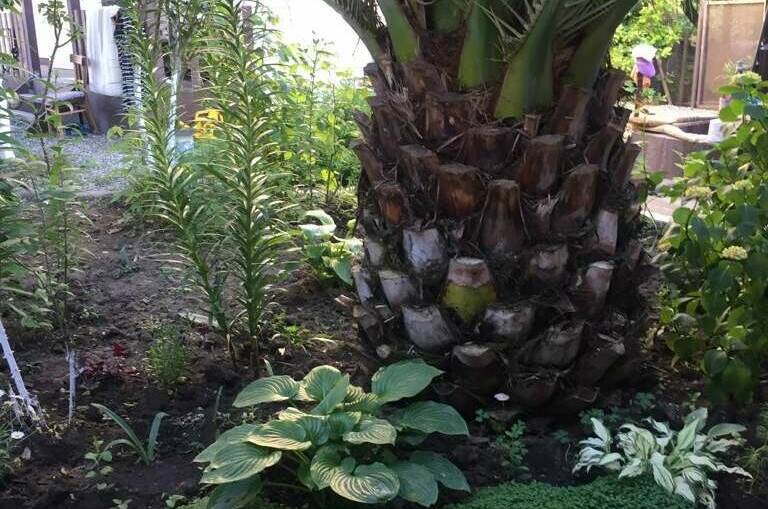 Гостевой дом «Ася»