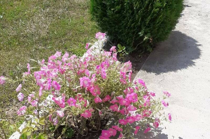 Гостевой дом «Мечта»