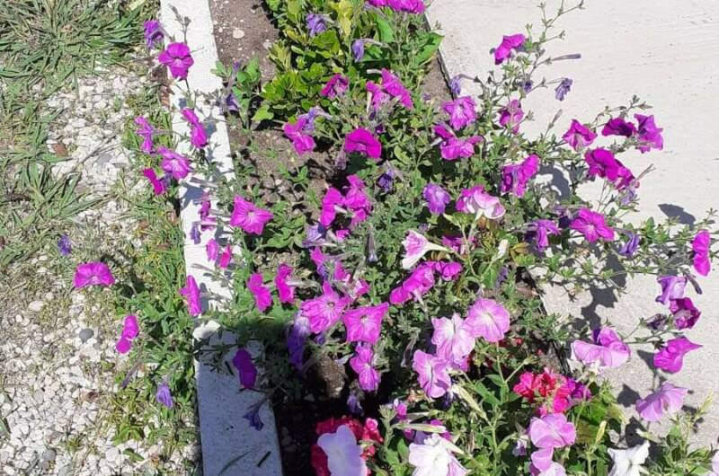 Гостевой дом «Мечта»