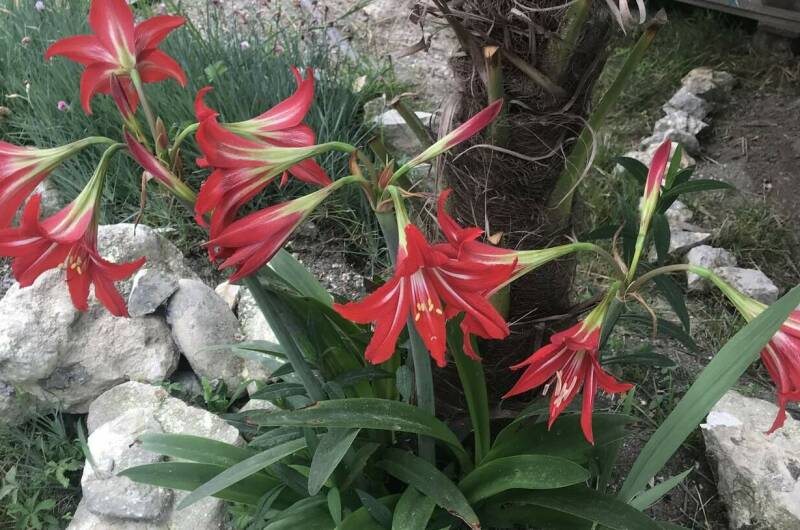 Гостевой дом «Ангелина»