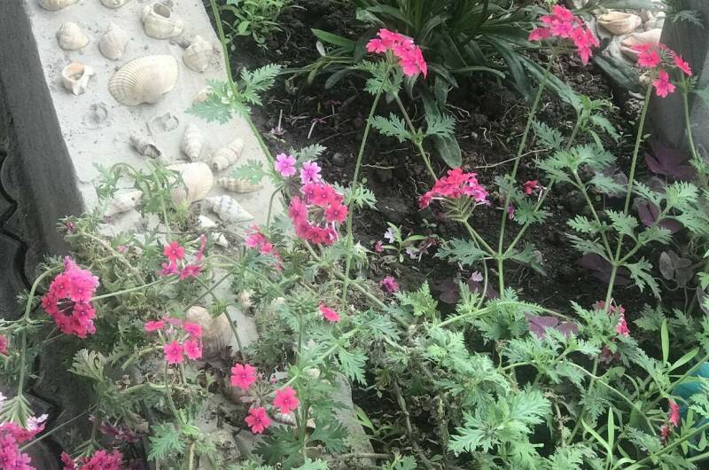 Гостевой дом «Ангелина»