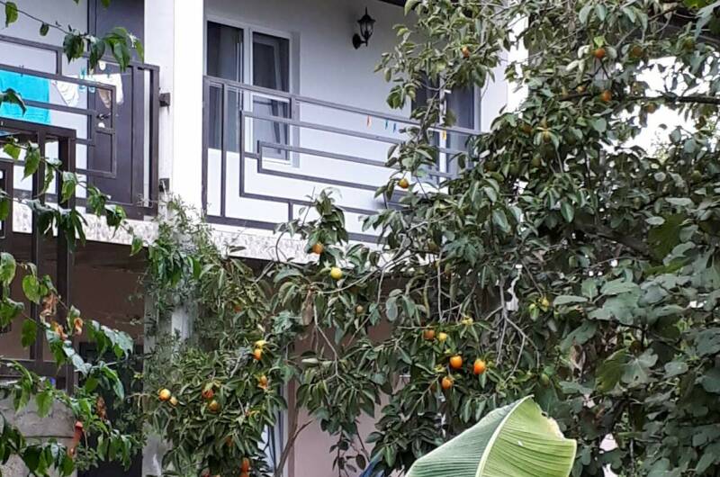 Гостевой дом «ТомИло»