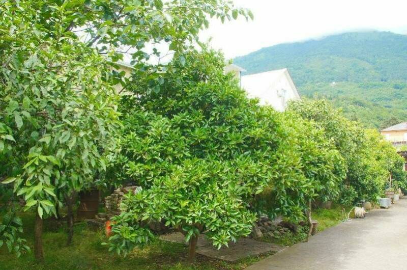 Частный дом «Аида»