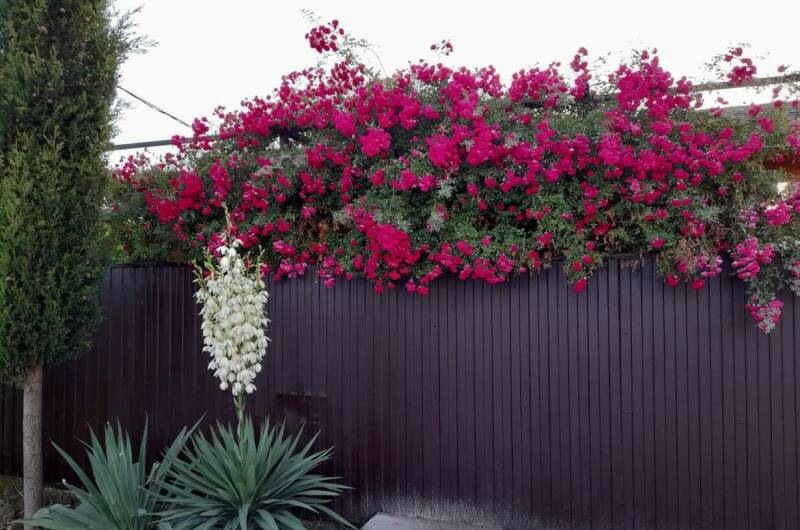 Гостевой дом «Шаолинь Кунг-Фу»