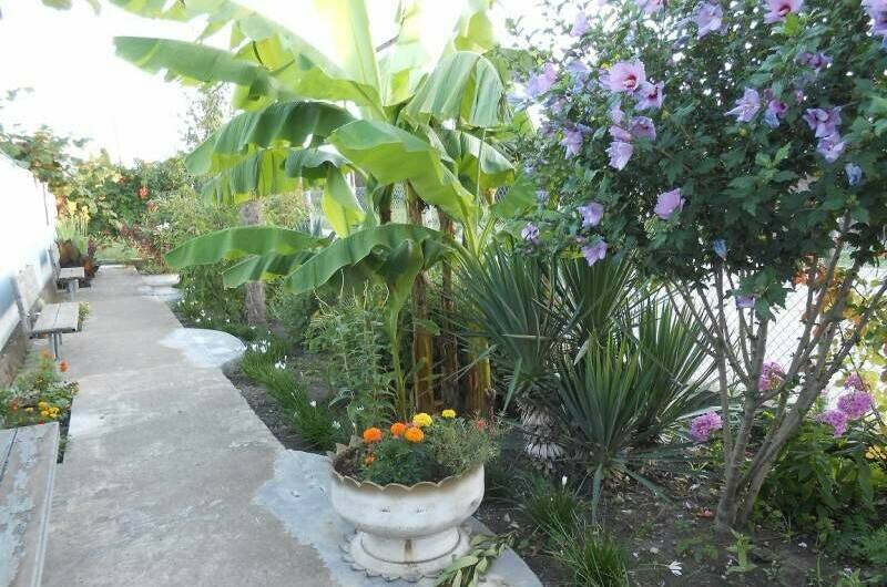 Гостевой дом «Шаолинь Кунг-Фу»