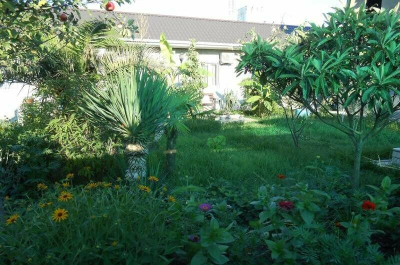 Гостевой дом «Шаолинь Кунг-Фу»