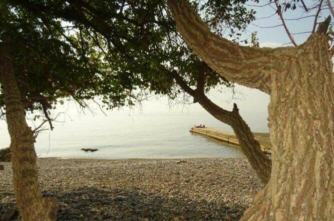 База отдыха «Wooden house ANNA»