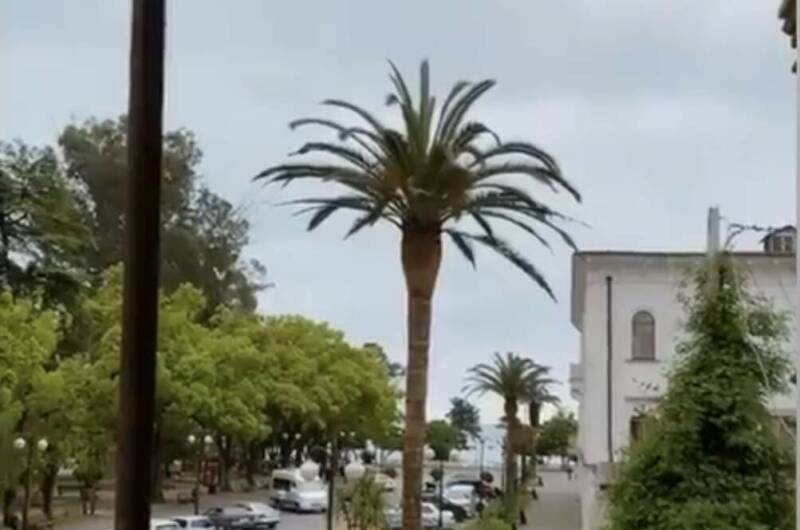 Роскошные апартаменты в историческом здании