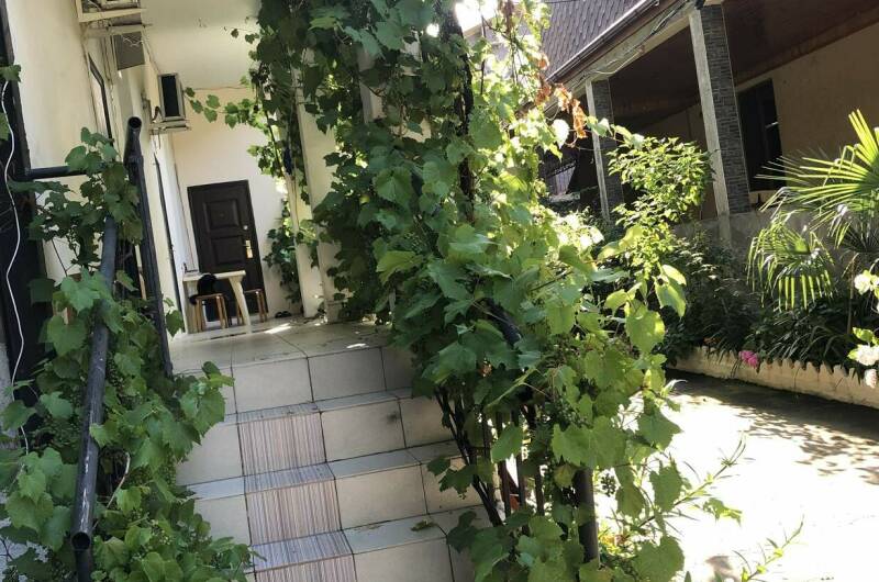 Гостевой дом «У Алиаса»