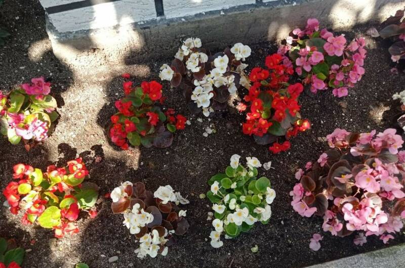 Гостевой дом «Татьяна»