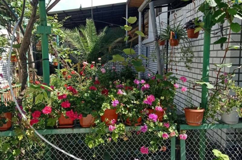 Гостевой дом «Татьяна»