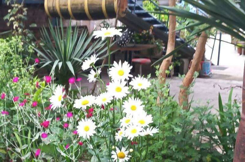 Гостевой дом «Старая Гагра»