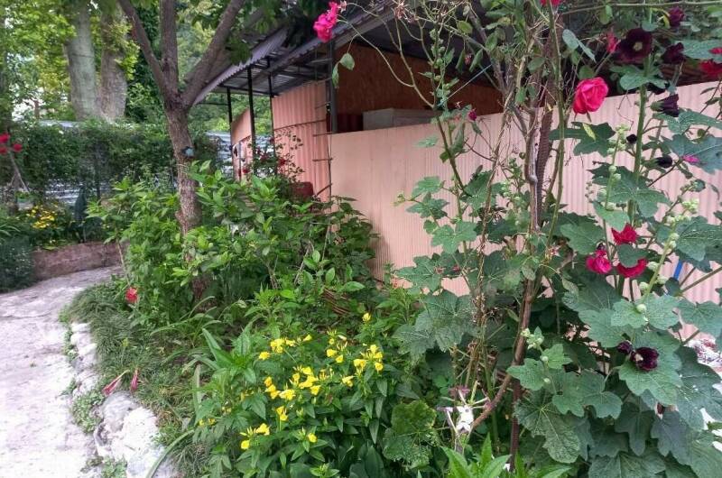 Гостевой дом «Старая Гагра»