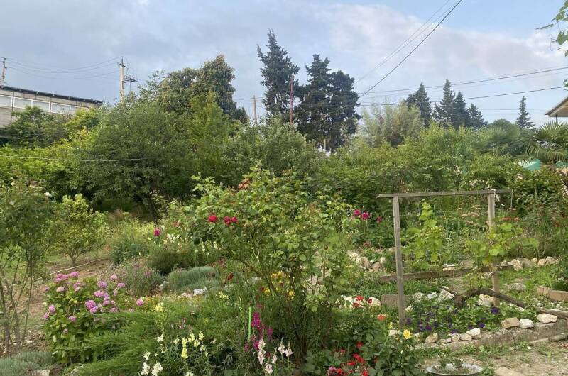 Гостевой дом «Dom u morya»