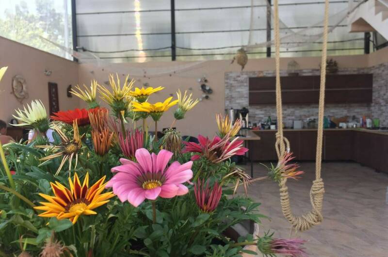 Мини-гостиница «Кукушкино гнездо»