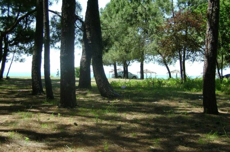 3-х комнатная квартира в Цитрусовом