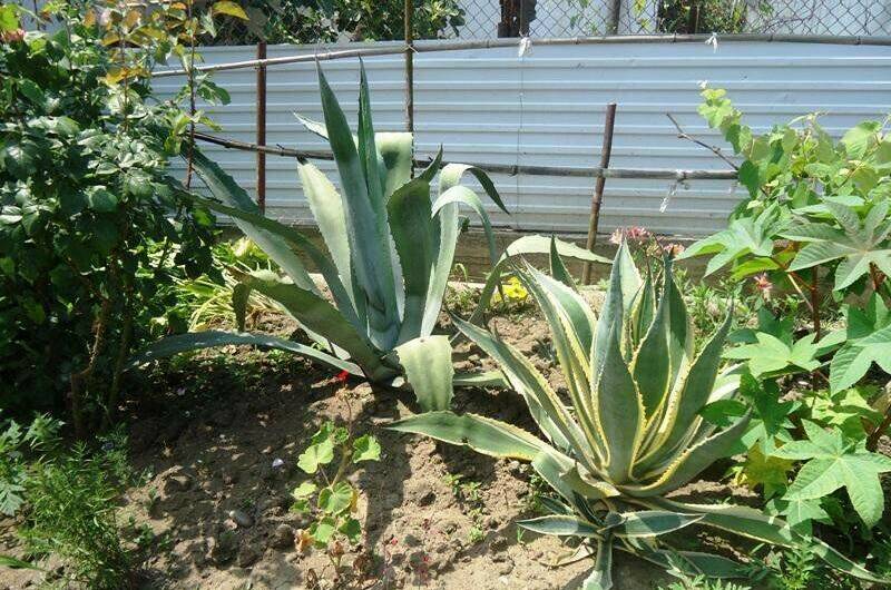 Гостевой дом «У Дианы»