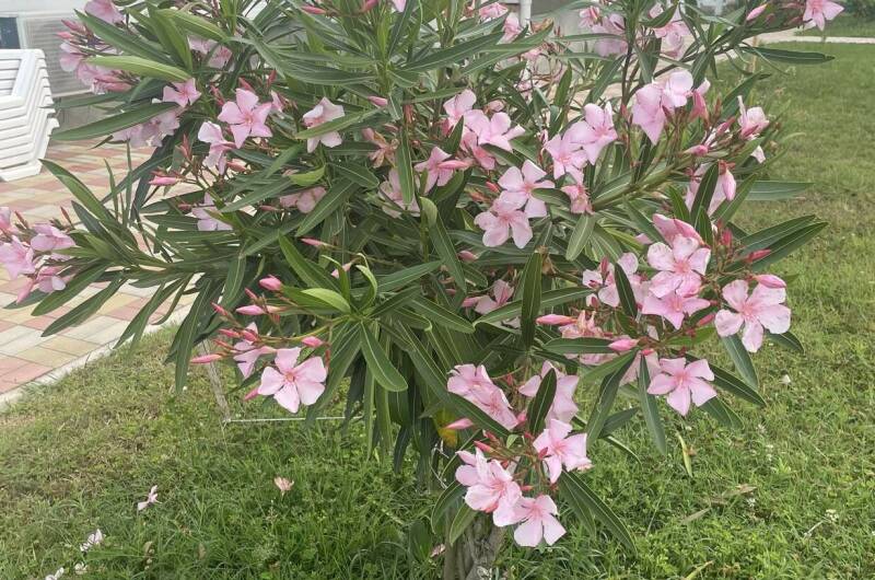 Гостиница «Золотые пески»