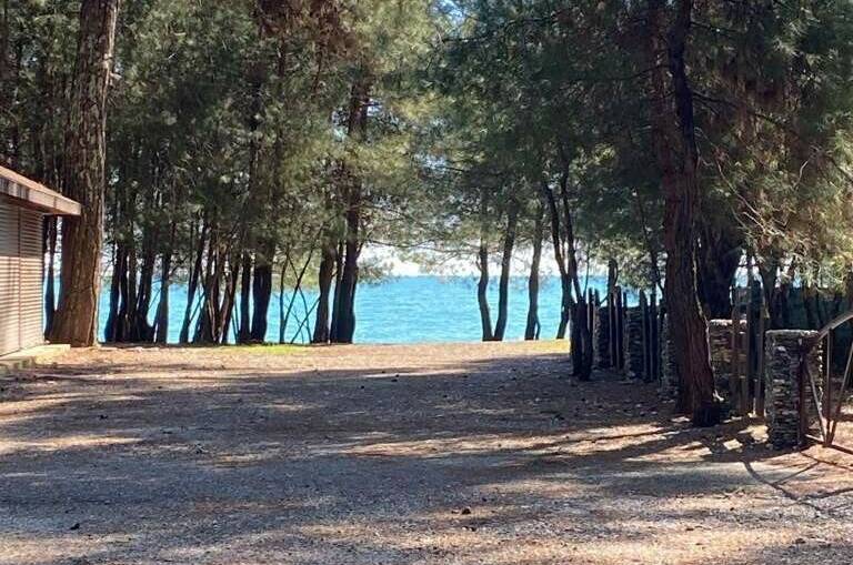 Апартаменты в Пицунде