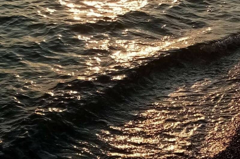 Гостевой дом «Мимоза»