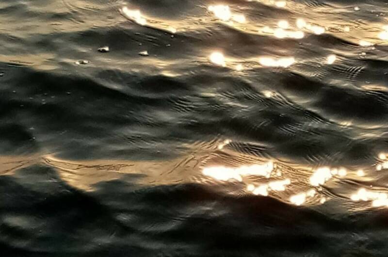 Гостевой дом «Мимоза»