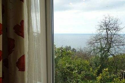 Гостевой дом «Мимоза»