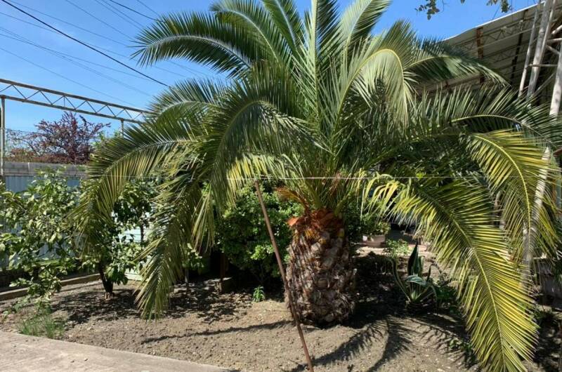 Гостевой дом «Роберт»