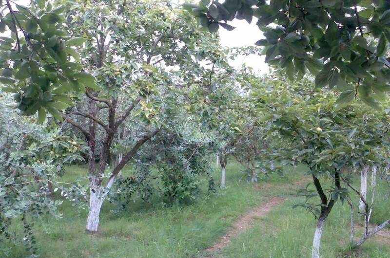 Гостевой дом «У Риммы»