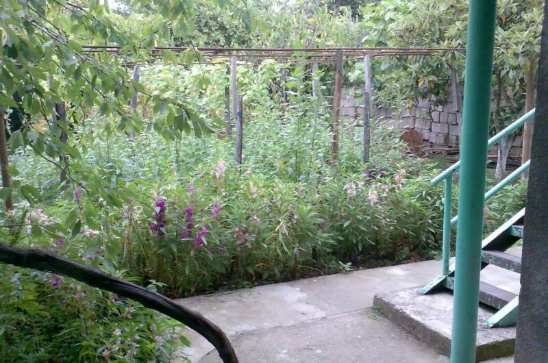 Гостевой дом «У Риммы»