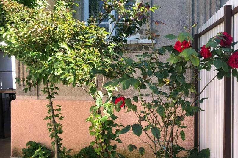 Гостевой дом «Вокруг света»