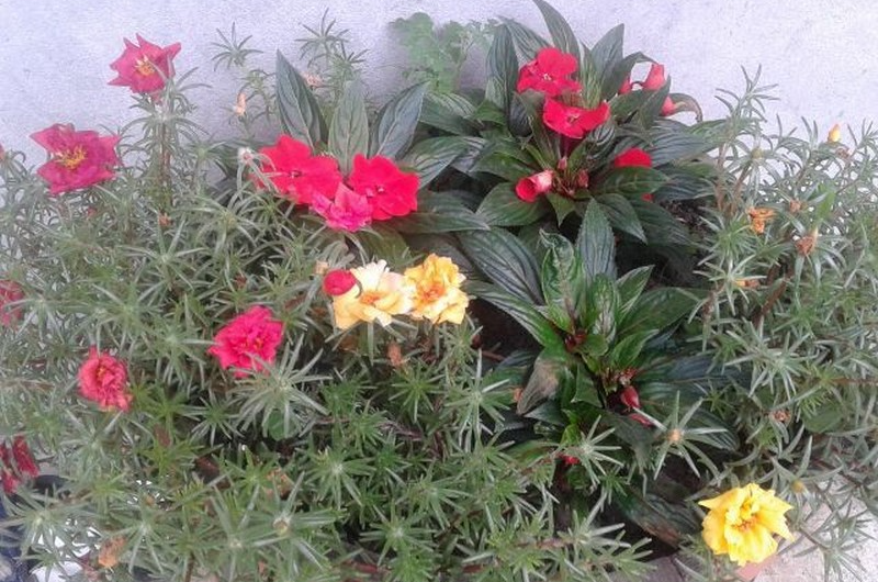 Частный сектор «Санчо»