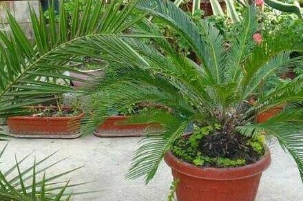 Гостевой дом «У Эммы и Ашота»