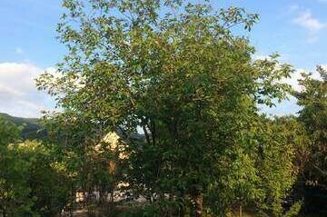 Гостевой дом «Уютный дворик»