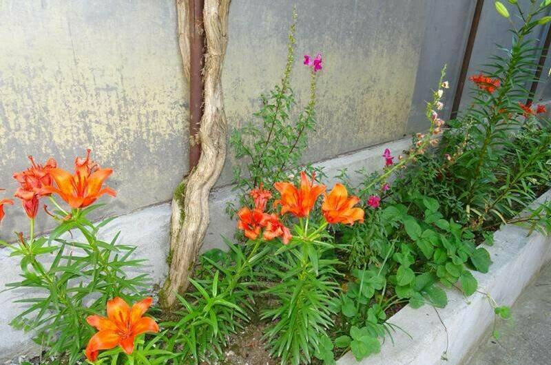 Гостевой дом у моря