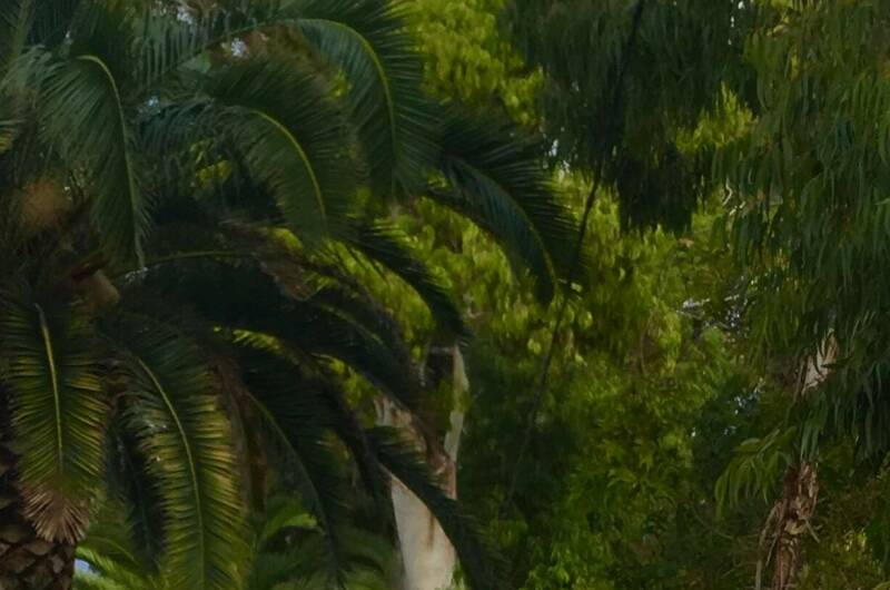 Гостевой дом «У Кота Василия»