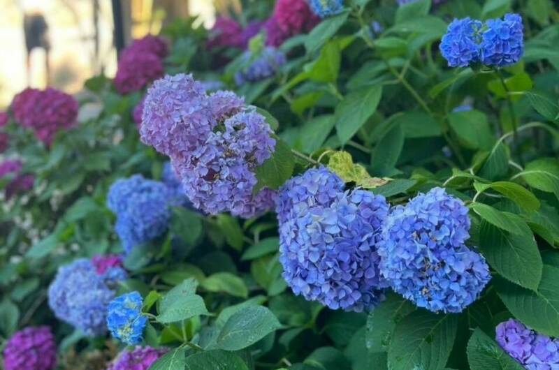 Частный сектор