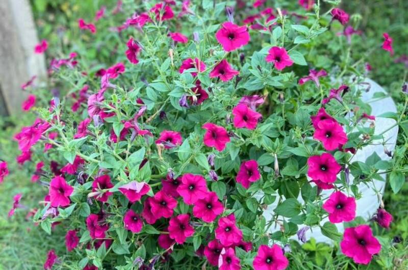 Частный сектор