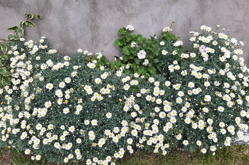 Частный сектор