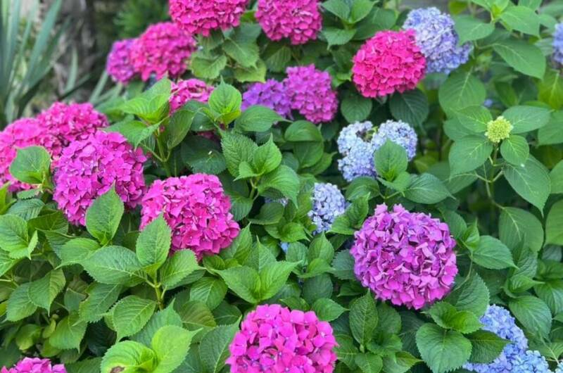 Частный сектор