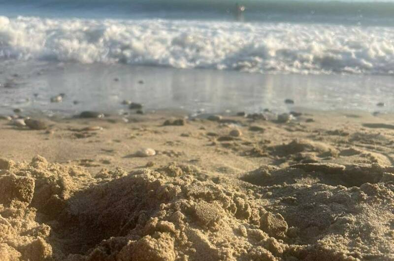 Частный сектор